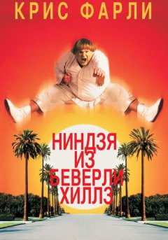 постер Ниндзя из Беверли-Хиллз